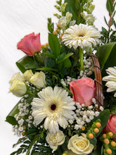 Load image into Gallery viewer, BQF-01
