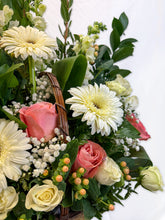 Load image into Gallery viewer, BQF-01
