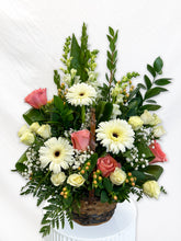 Load image into Gallery viewer, BQF-01
