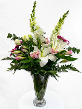 Load image into Gallery viewer, BQF-02
