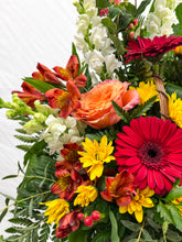 Load image into Gallery viewer, BQF-04
