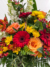 Load image into Gallery viewer, BQF-04
