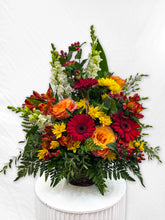 Load image into Gallery viewer, BQF-04
