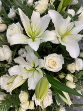 Load image into Gallery viewer, FCSN-03
