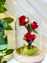 Charger l'image dans la galerie, Rose Tree
