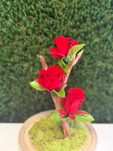 Charger et lire la vidéo dans la visionneuse de la Galerie, Rose Tree
