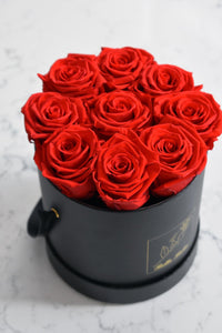 Roses éternelles - Boîte cylindrique